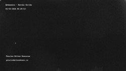 Pension Helena Honesová