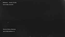 Pension Helena Honesová