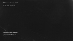 Pension Helena Honesová