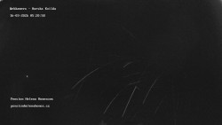 Pension Helena Honesová