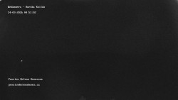 Pension Helena Honesová