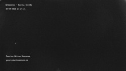 Pension Helena Honesová