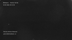 Pension Helena Honesová