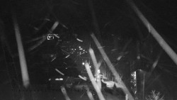 Informační centrum Zvonice