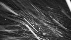 Informační centrum Zvonice