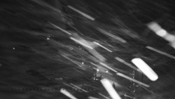 Informační centrum Zvonice