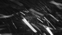 Informační centrum Zvonice