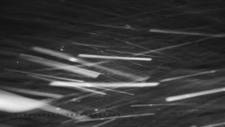 Informační centrum Zvonice