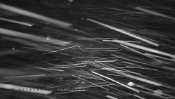 Informační centrum Zvonice