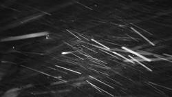 Informační centrum Zvonice