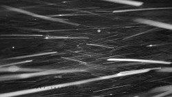 Informační centrum Zvonice