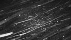 Informační centrum Zvonice