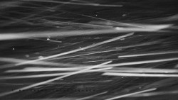 Informační centrum Zvonice