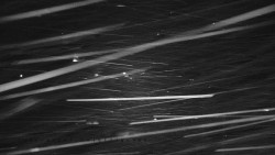 Informační centrum Zvonice