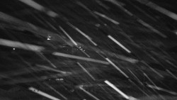 Informační centrum Zvonice