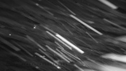 Informační centrum Zvonice