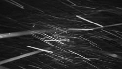 Informační centrum Zvonice