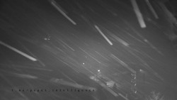 Informační centrum Zvonice