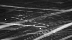 Informační centrum Zvonice