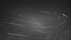 Informační centrum Zvonice