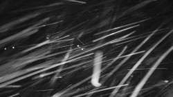 Informační centrum Zvonice