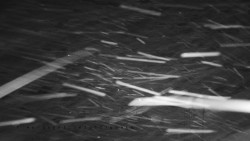 Informační centrum Zvonice