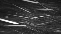 Informační centrum Zvonice