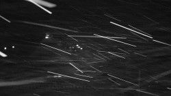 Informační centrum Zvonice