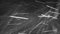 Informační centrum Zvonice