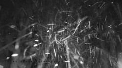 Informační centrum Zvonice