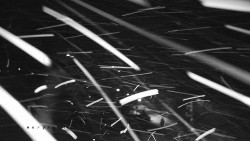 Informační centrum Zvonice