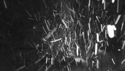 Informační centrum Zvonice