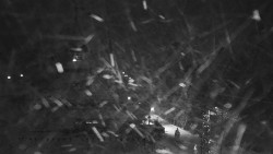 Informační centrum Zvonice