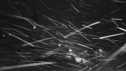 Informační centrum Zvonice