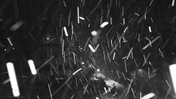 Informační centrum Zvonice