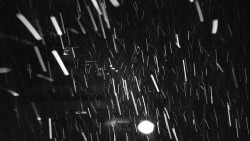 Informační centrum Zvonice