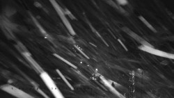 Informační centrum Zvonice