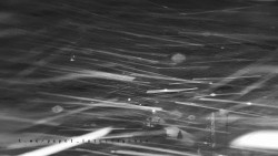 Informační centrum Zvonice