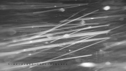 Informační centrum Zvonice