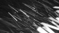 Informační centrum Zvonice