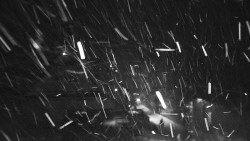 Informační centrum Zvonice