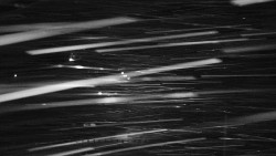 Informační centrum Zvonice