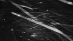 Informační centrum Zvonice