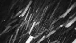 Informační centrum Zvonice