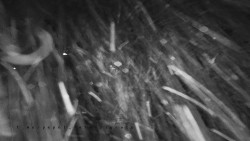 Informační centrum Zvonice