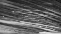 Informační centrum Zvonice