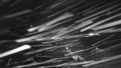 Informační centrum Zvonice