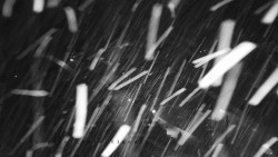 Informační centrum Zvonice