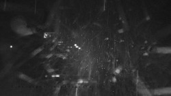 Informační centrum Zvonice