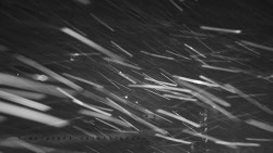 Informační centrum Zvonice